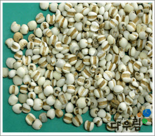 의이인(토) 1kg.